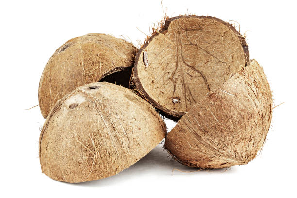 Coconut Shells
