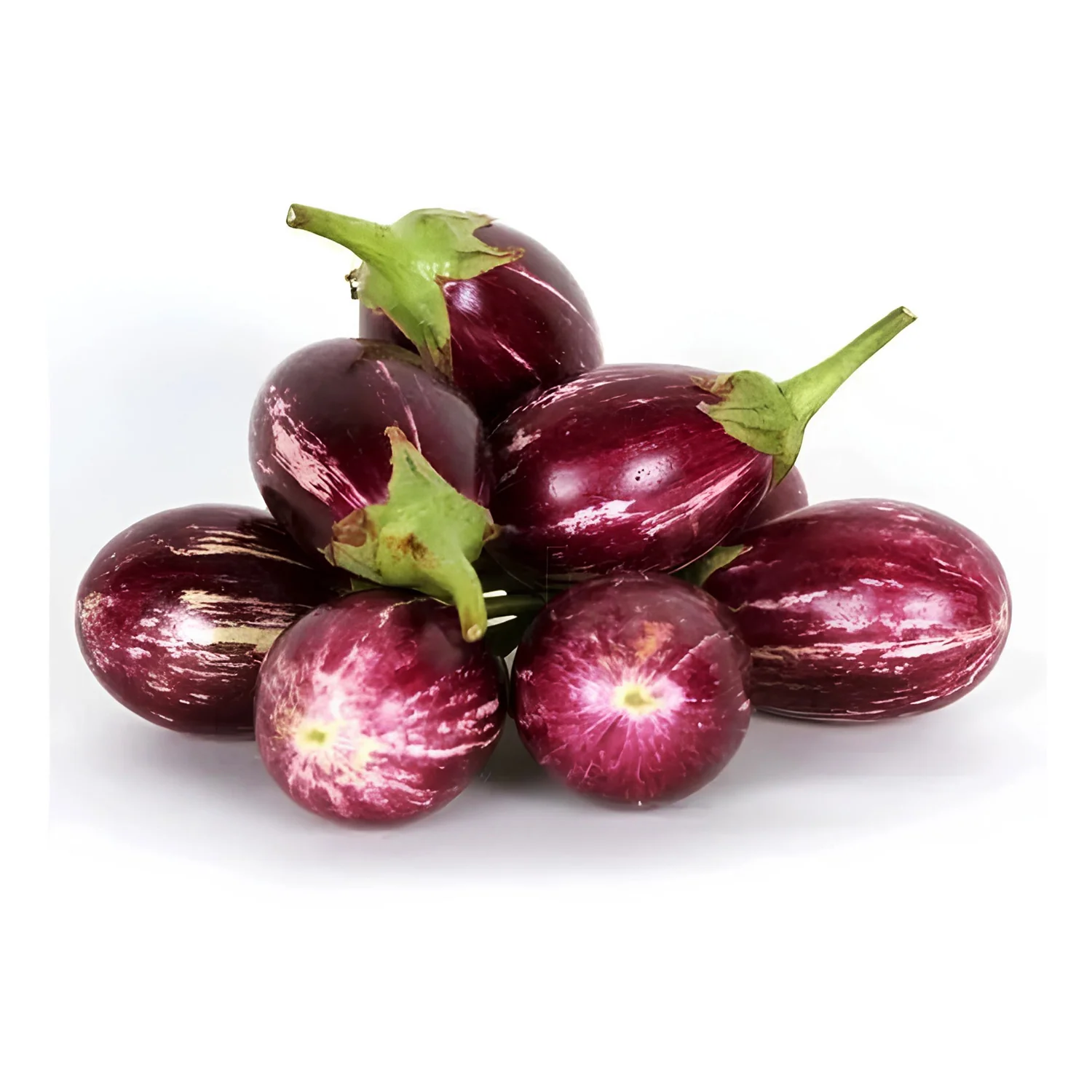 Eggplant / Brinjal